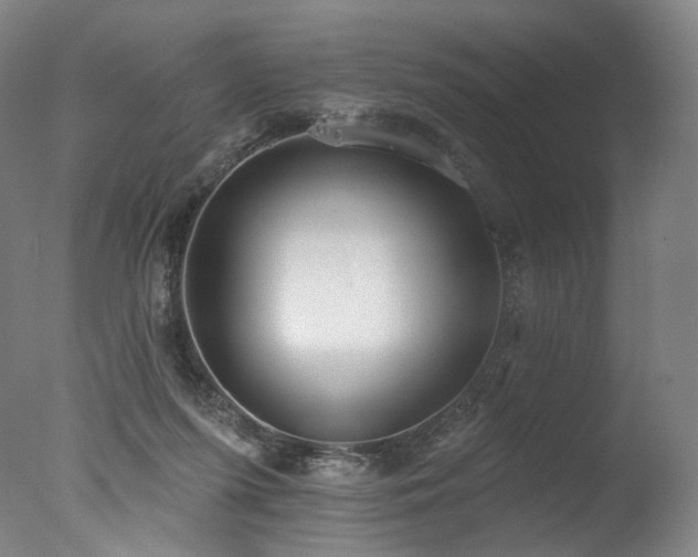 X0000077410215200610201509