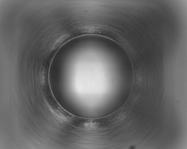 X0000077410216200610201509