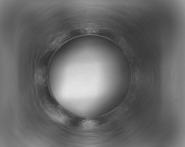 X0000077410218200610201509