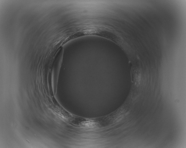 X0000077410219200610201509