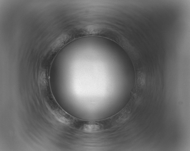 X0000077410220200610201509