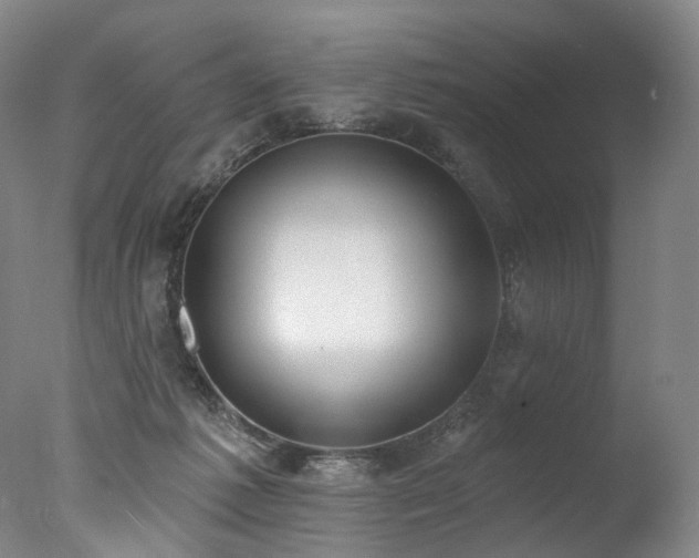 X0000077410221200610201509