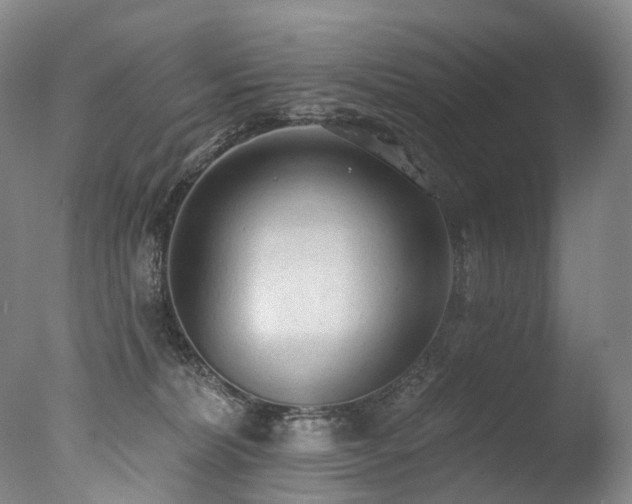 X0000077410228200610201509