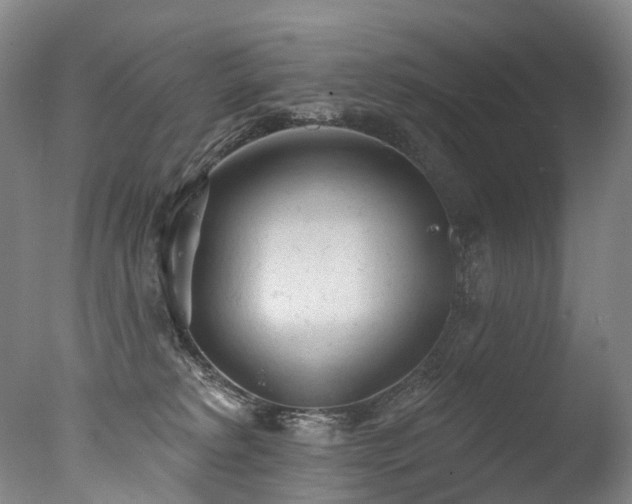 X0000077410229200610201509