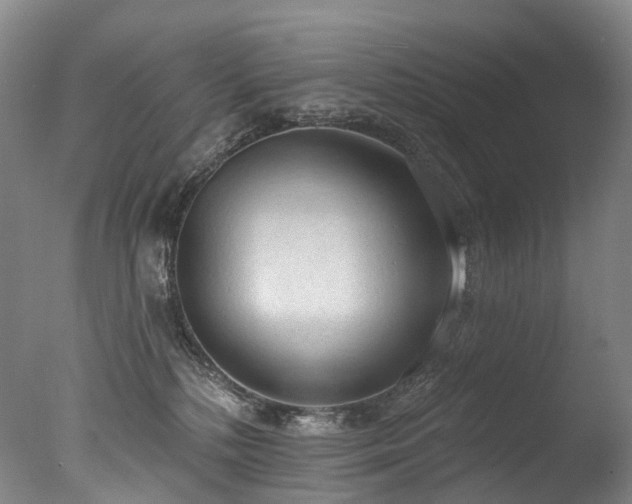 X0000077410232200610201509