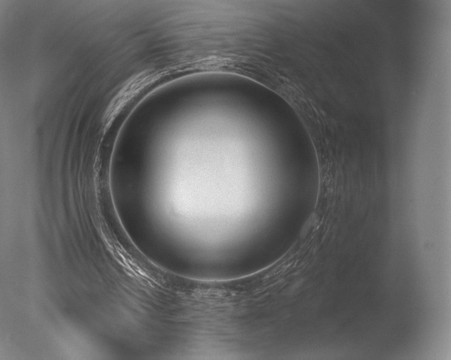 X0000077410242200610201508