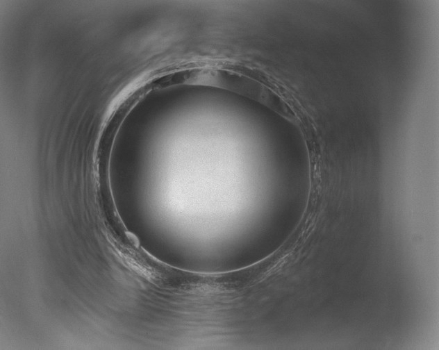 X0000077410246200610201508