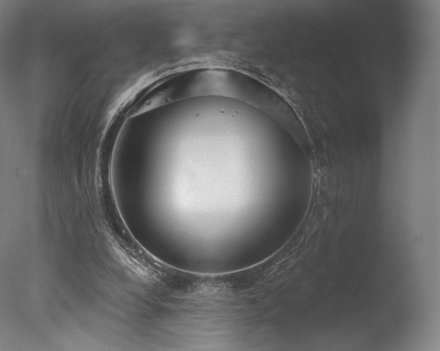 X0000077410248200610201508