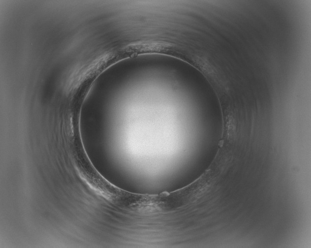 X0000077410254200610201508