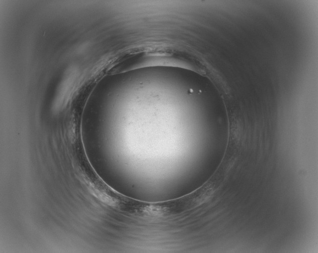 X0000077410261200610201508