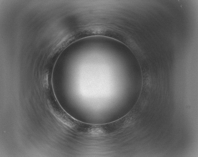 X0000077410262200610201508