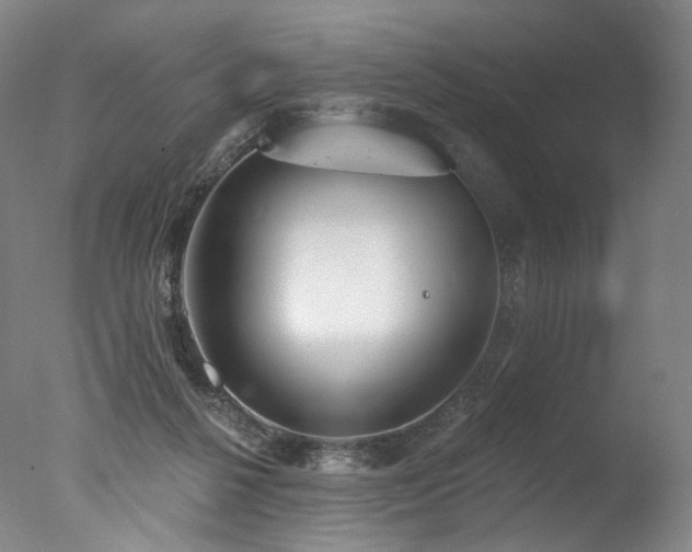 X0000077410264200610201508