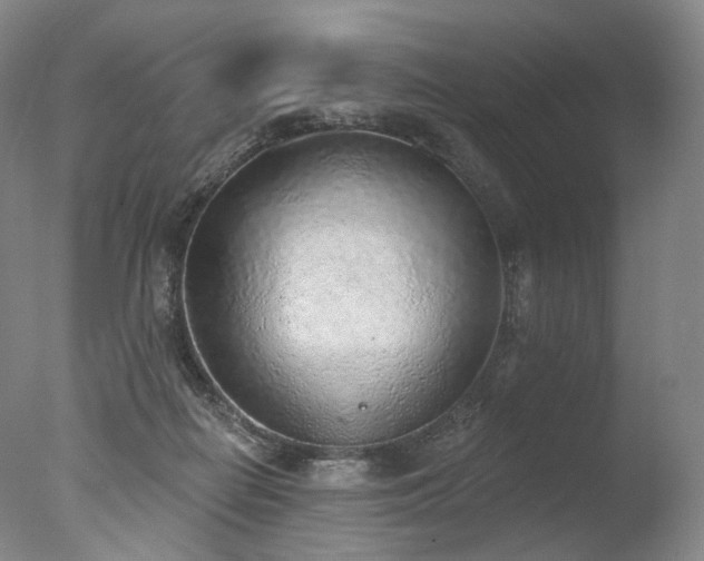 X0000077410266200610201508