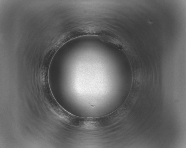 X0000077410268200610201508
