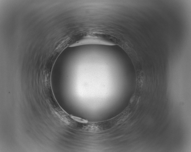X0000077410276200610201509