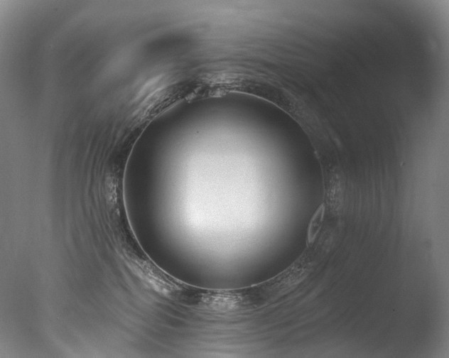 X0000077410282200610201509