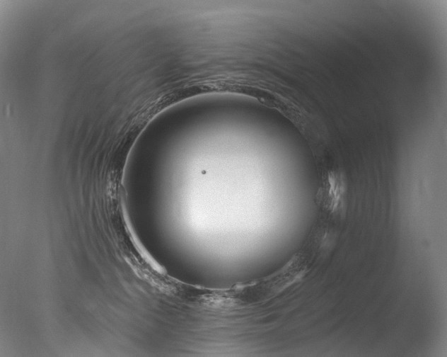 X0000077410284200610201509