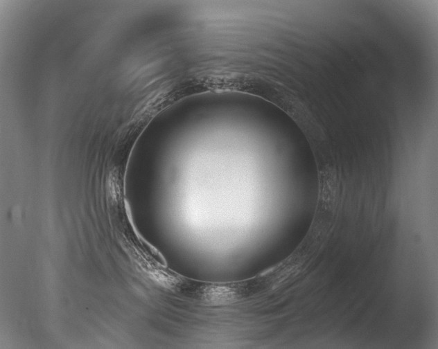 X0000077410287200610201509