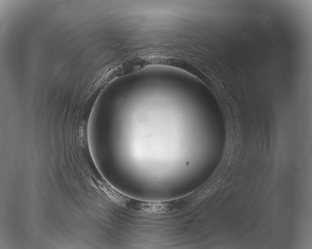 X0000077410288200610201509