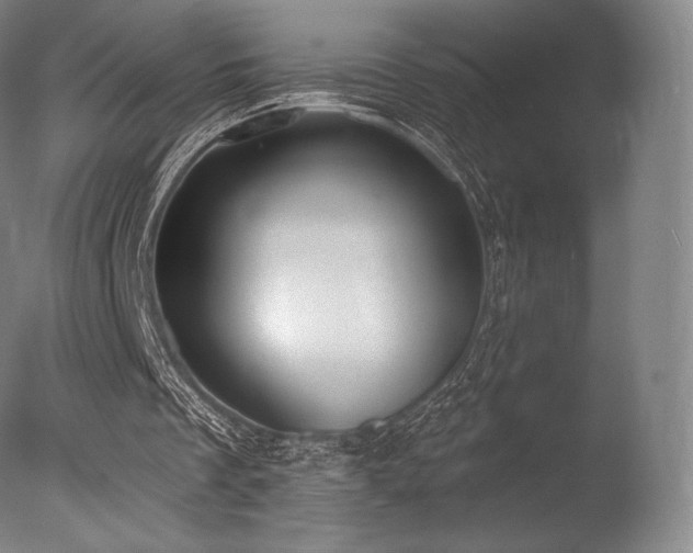 X0000077410289200610201508