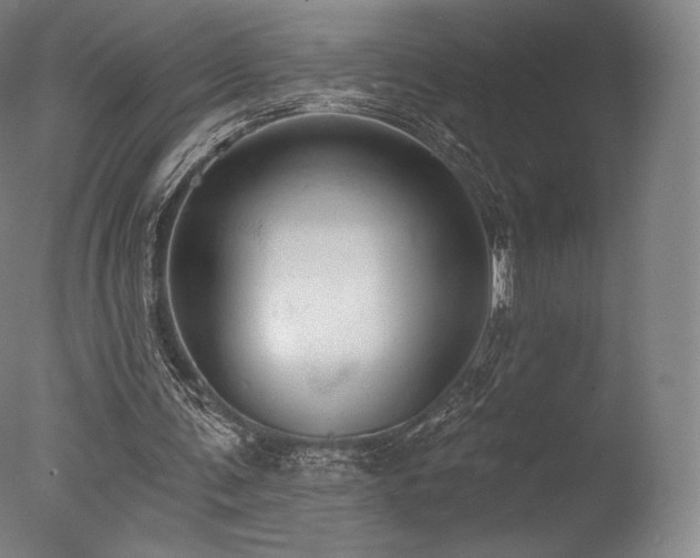 X0000077410291200610201508