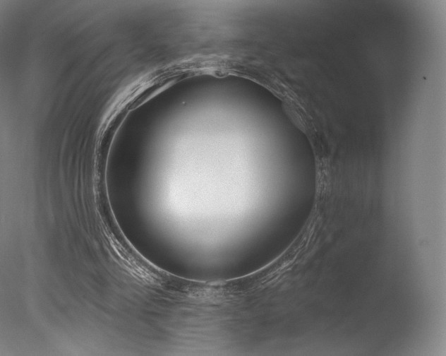 X0000077410293200610201508