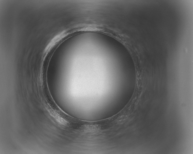 X0000077410296200610201508