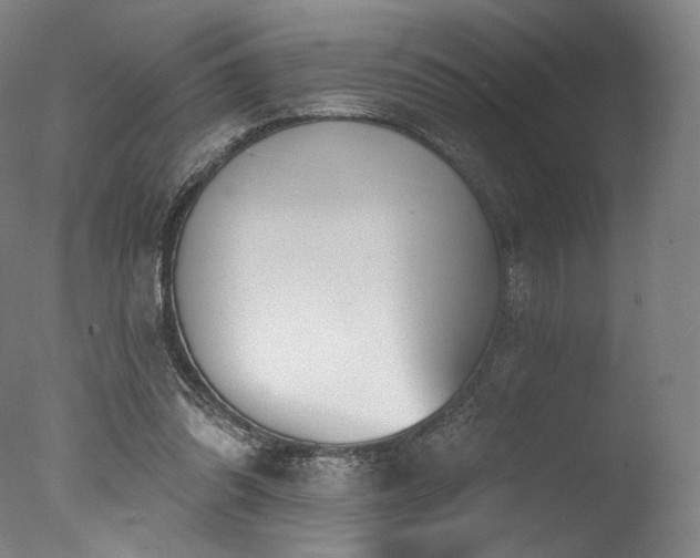 X0000077410302200610201508