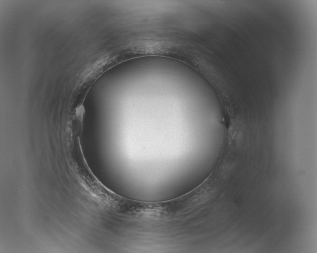 X0000077410306200610201508
