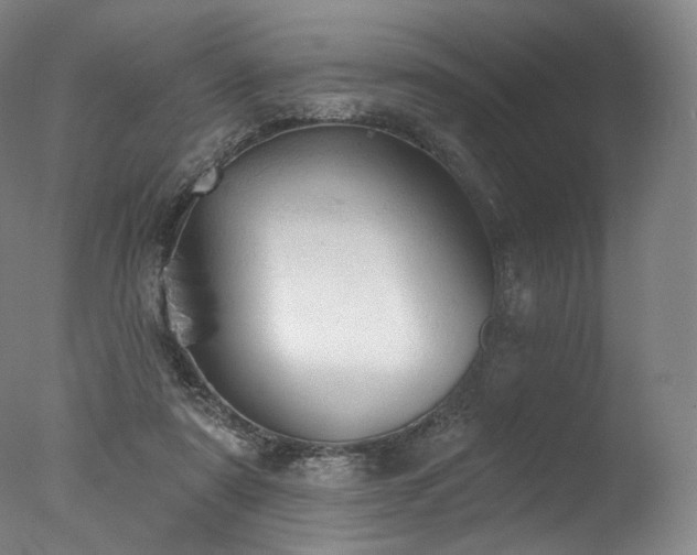 X0000077410307200610201508