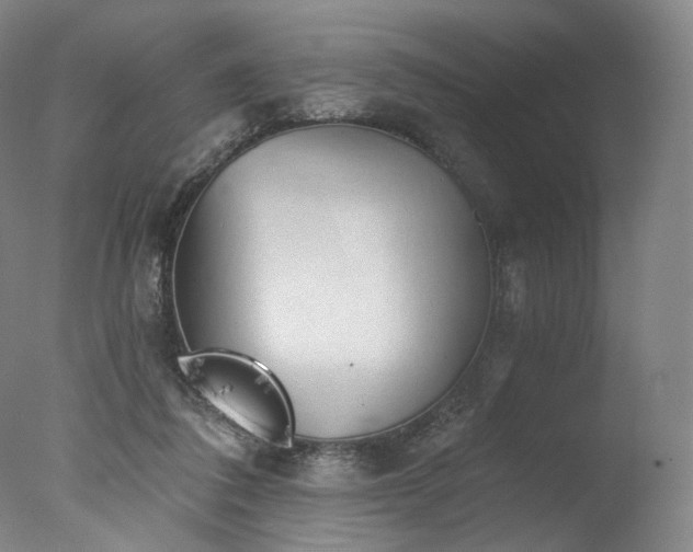 X0000077410308200610201508