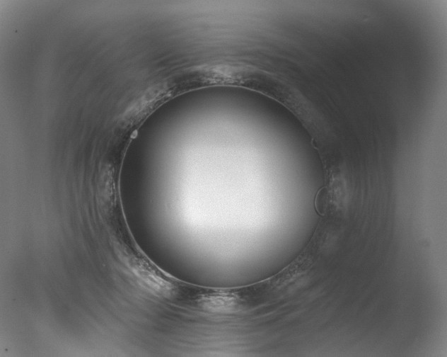 X0000077410318200610201507