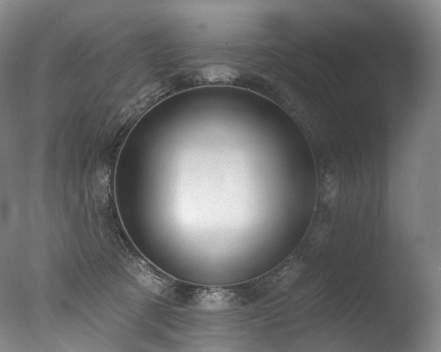 X0000077410321200610201507