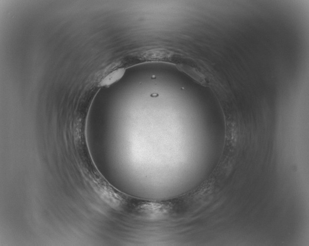 X0000077410326200610201507
