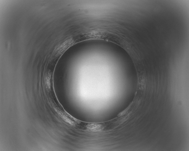 X0000077410334200610201507