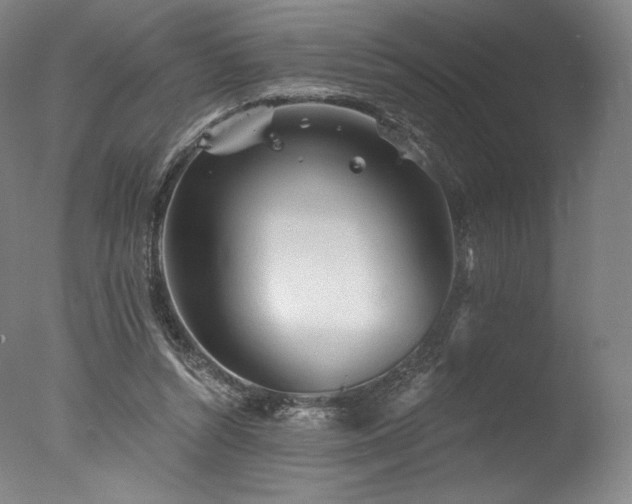 X0000077410352200610201507