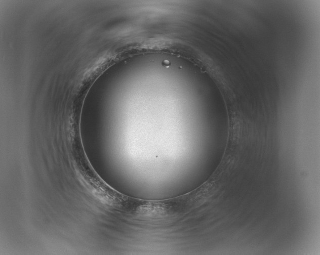 X0000077410354200610201507