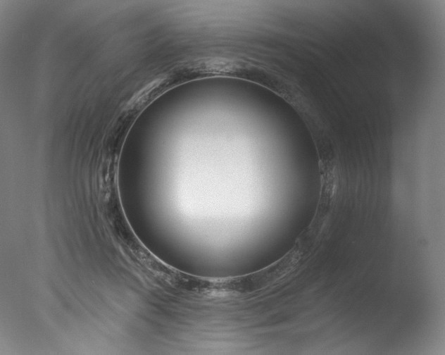 X0000077410360200610201507
