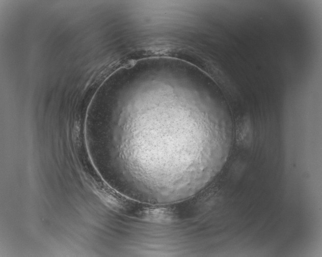 X0000077410365200610201507