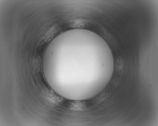 X0000077410370200610201507