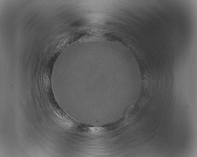 X0000077410371200610201507