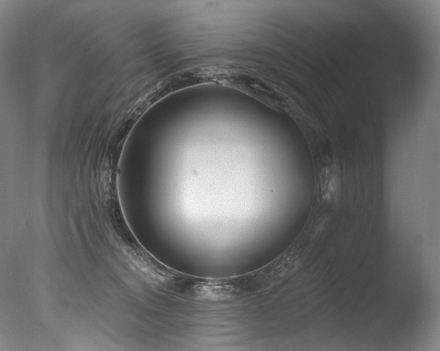 X0000077410372200610201507