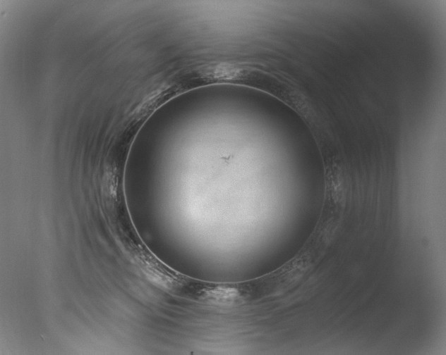 X0000077410374200610201507