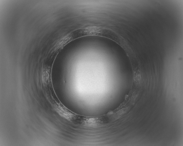 X0000077410382200610201507