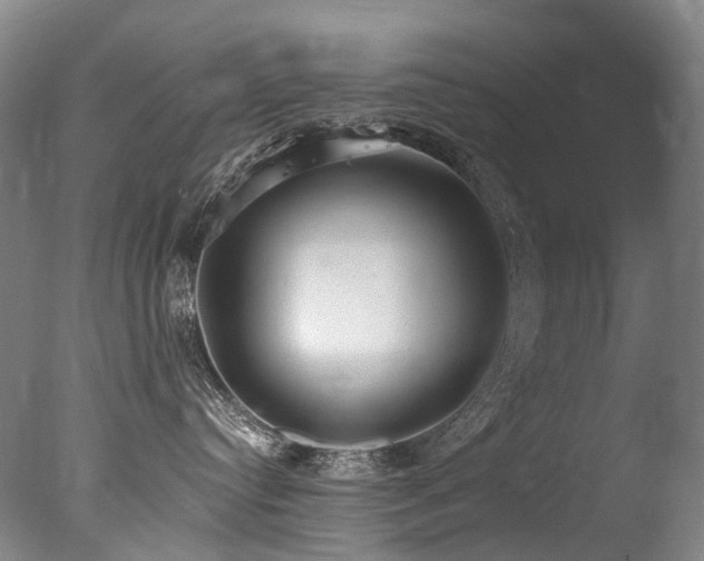 X0000077410384200610201507