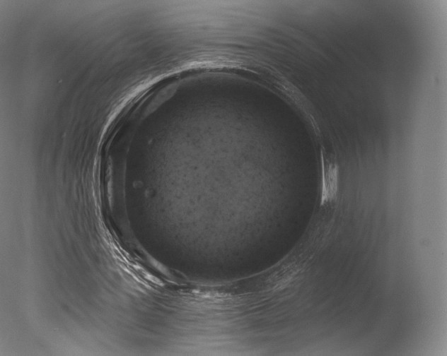 X0000077410387200610201506