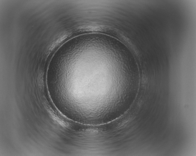 X0000077410394200610201506