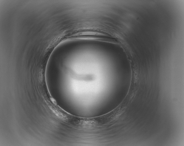 X0000077410401200610201506