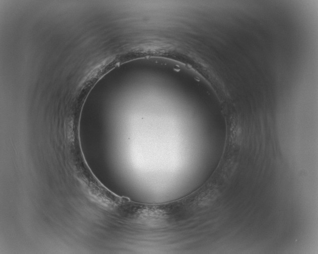 X0000077410403200610201506