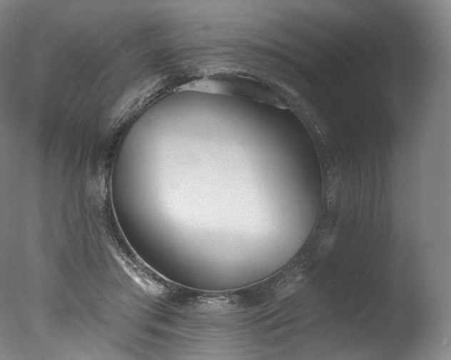 X0000077410405200610201506